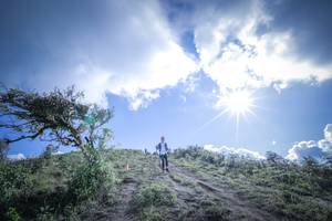 BIB: 5157
                            <button type="button" onclick="openModal(15955552)" class="btn btn-primary btn-sm float-right btn-popup" data-toggle="modal" data-target=".modal-high-quality">
                        <i class="fas fa-shopping-cart"></i> Add to Cart
                    </button>
                                            <button type="button" onclick="isThisMe(15955552, true)" class="btn btn-success btn-sm float-right btn-popup btn-isme hidden" data-toggle="tooltip" data-placement="bottom" title="นี่คือรูปของคุณใช่ไหม คลิกที่นี่เพื่อเอาเข้าอัลบั้ม">
                        <i class="fas fa-plus"></i> Add to album
                    </button>
                    <button type="button" onclick="isThisMe(15955552, false)" class="btn btn-warning btn-sm float-right btn-popup btn-isnotme hidden">
                        <i class="fas fa-ban"></i> Remove from album
                    </button>